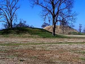 Archivo:Chromesun toltec mounds photo01