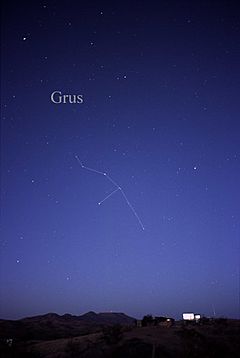 Archivo:Constellation Grus