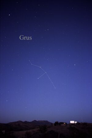 Archivo:Constellation Grus