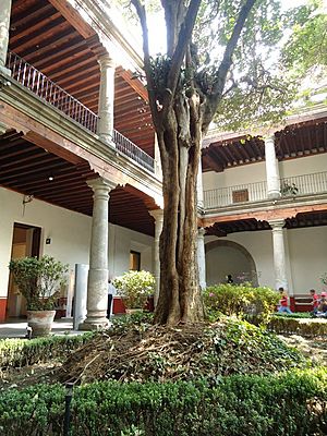 Archivo:Courtyard Museo Franz Mayer 4