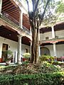 Courtyard Museo Franz Mayer 4