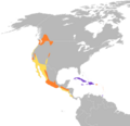 Cypseloides niger map
