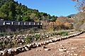 El riu Belcaire per les coves de sant Josep de la Vall d'Uixó