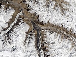 Archivo:Glaciers of Shimsal Valley from space