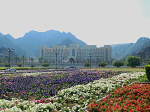 Archivo:Governmentofomanbuilding