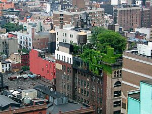 Archivo:Green City