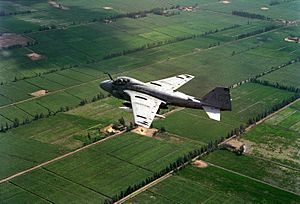 Archivo:Grumman A-6E Intruder of VA-65 on flight on 1 August 1983 (6392725)