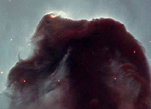 Archivo:Horsehead-Hubble