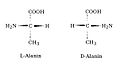 L-D-Alanin