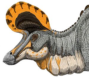 Archivo:Lambeosaurus magnicristatus DB