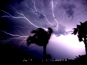 Archivo:Lightning over Padre Island