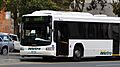 Metro Tasmania bus