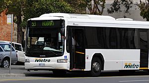 Archivo:Metro Tasmania bus