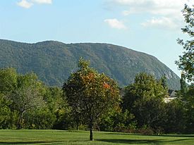 Mont-saint-hilaireJT2004.jpg