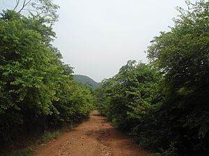 Archivo:Mudway at Kambalakonda Ecopark Visakhapatnam