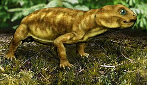 Archivo:Myosaurus