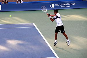 Archivo:Novak Đoković at the 2010 US Open 02