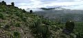 Paisaje en Texcala, Puebla, México