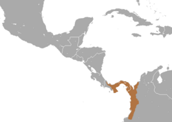 Distribución de Aotus zonalis