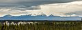 Parque nacional y reserva Wrangell-San Elías, Alaska, Estados Unidos, 2017-08-24, DD 02