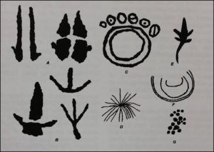 Archivo:Picture1 showing motifs typical of the Panaramitee Style