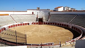 Archivo:Plaza de toros de Iniesta
