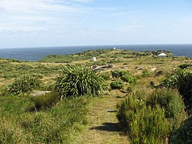 Puysegur Point New Zealand.jpg