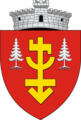 ROU SV Horodniceni CoA