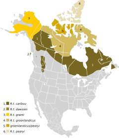 Gama de las subespecies de caribú en América del Norte