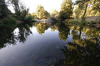 Rio Omaña a su paso por la Omañula Autor Torpe.jpg