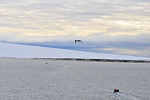 Archivo:Schmidt-Insel 2 2014-09-01