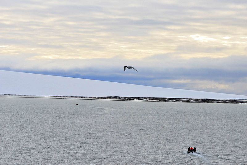 Schmidt-Insel 2 2014-09-01
