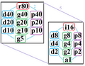 Symmetries of tetracontagon