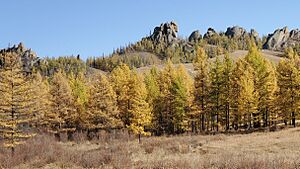 Archivo:Terelj National Park, Mongolia (48810738992)