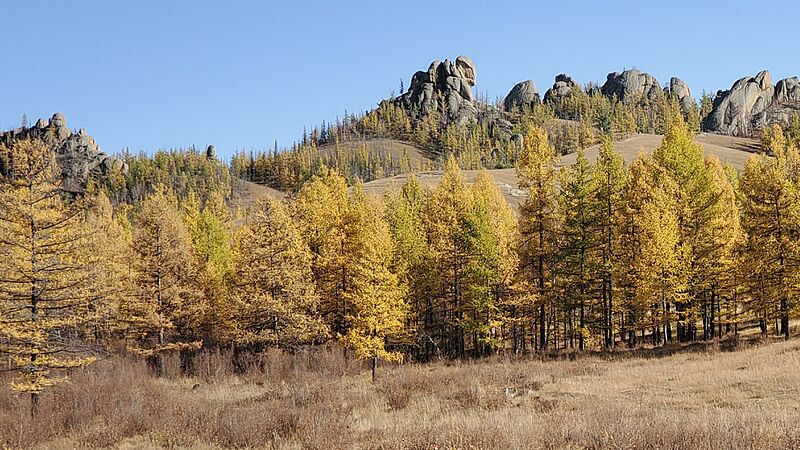Terelj National Park, Mongolia (48810738992)