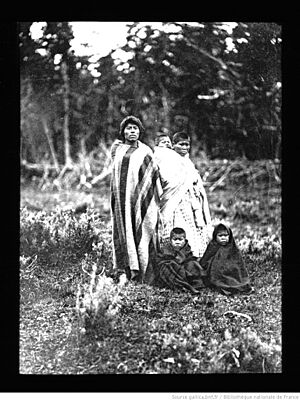 Archivo:Terre de Feu-Patagonie-Rousson Henri