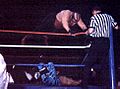 Vader-Michaels in 1996
