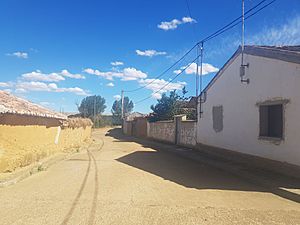 Archivo:Villamelendro de Valdavia - Calle Huertas 001