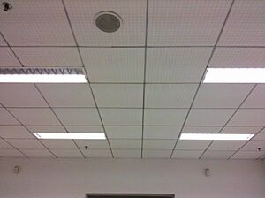 Archivo:WNLO Lab Ceiling - panoramio