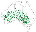 Acacia ligulata distribution map