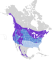 Aegolius acadicus map