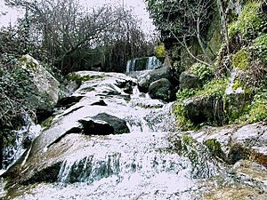Archivo:Arroyo de los molinos