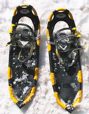 Archivo:Atlas snowshoes