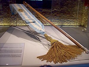 Archivo:Banda y bastón Raúl Alfonsín