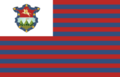 Bandera del Departamento Guatemala