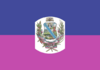 Bandera del municipio Independencia Miranda.PNG