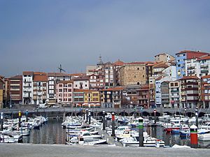 Archivo:Bermeo's old port