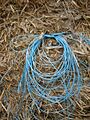 Blue baling-twine