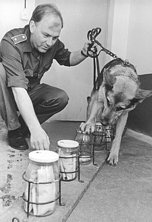Archivo:Bundesarchiv Bild 183-1990-0703-023, Dresden, Rauschgiftspürhund im Einsatz