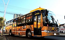Archivo:Bus Pumakatari